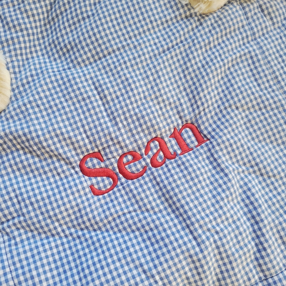 Pottery Barn Kids Shaggy Puppy Dog Sleeping Bag Blue Gingham SEAN - Picture 3 of 13